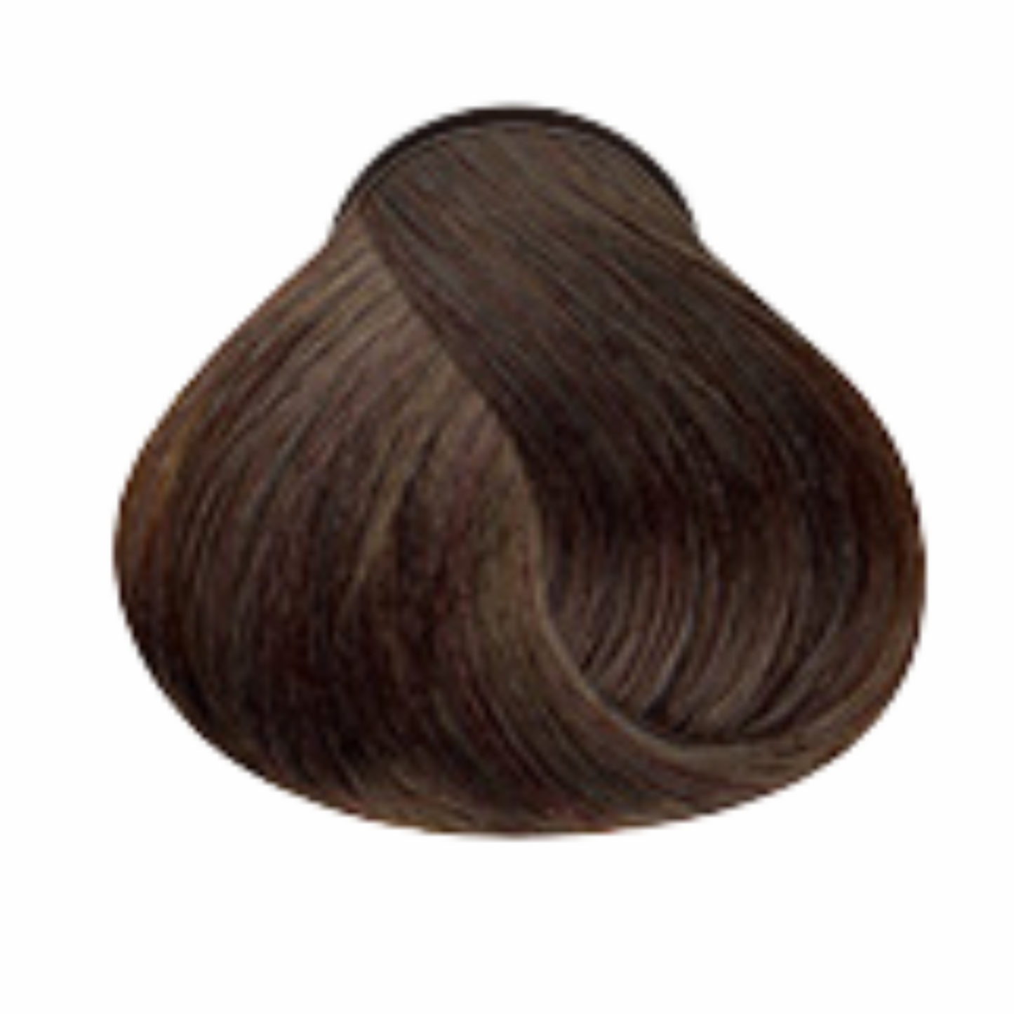 BUY 1 TAKE 1 BREMOD Premium Hair Color Dye Cream 100ml & Oxidizer 12%
